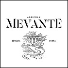 MevanteLOGO.jpg